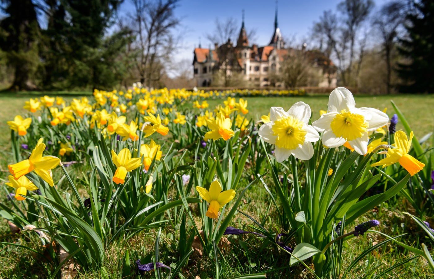 Oslavte Velikonoce v Zoo Zlín!