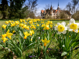Oslavte Velikonoce v Zoo Zlín!