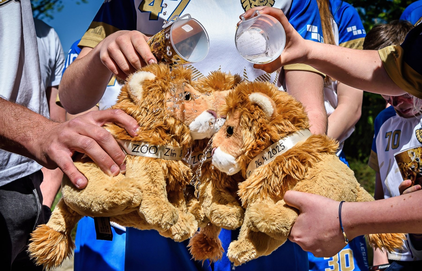Trojlístek lvíčat pokřtili Zlín Lions