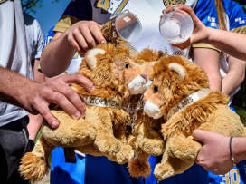 Trojlístek lvíčat pokřtili Zlín Lions