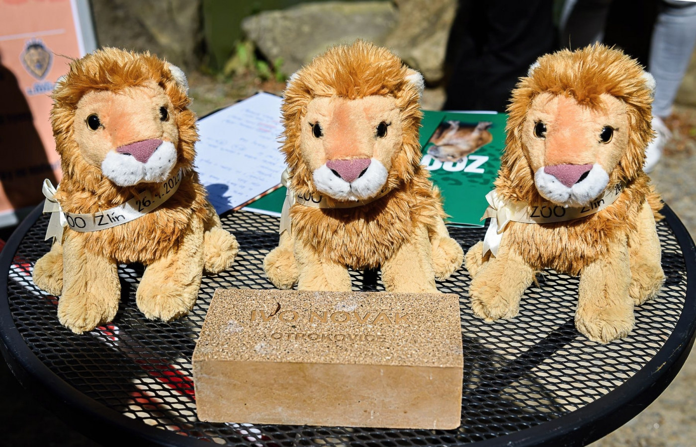 Trojlístek lvíčat pokřtili Zlín Lions