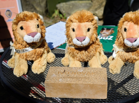 Trojlístek lvíčat pokřtili Zlín Lions