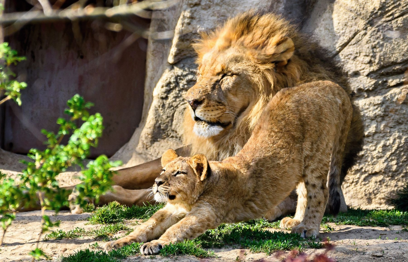 V květnu do Zoo Zlín