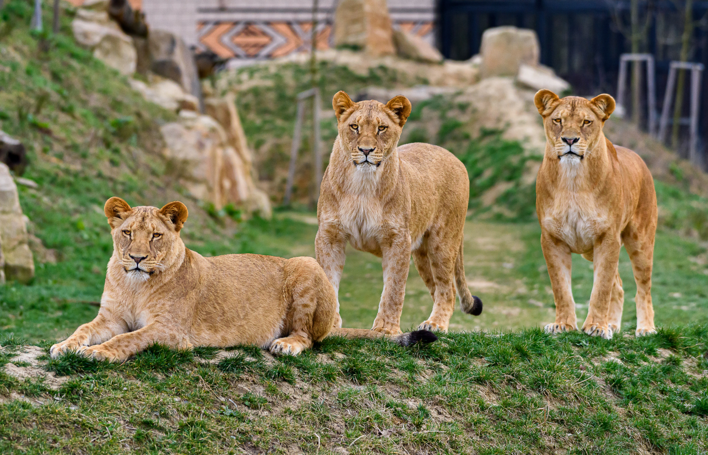 V květnu do Zoo Zlín