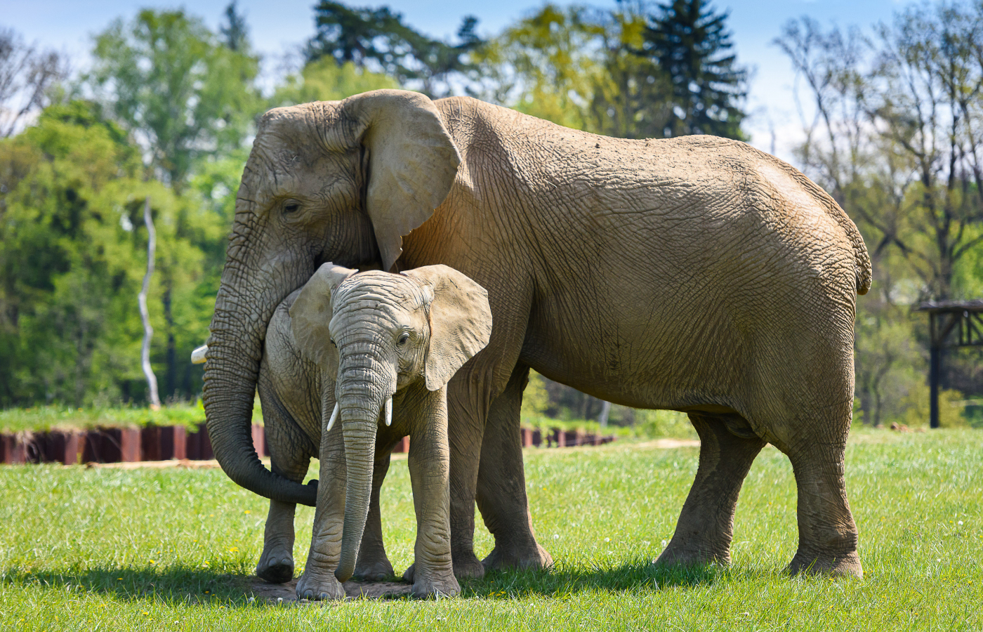 V květnu do Zoo Zlín