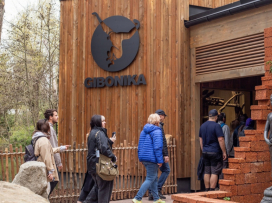 New Gibbon Exhibit "Gibonika" Opened