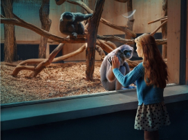 New Gibbon Exhibit "Gibonika" Opened