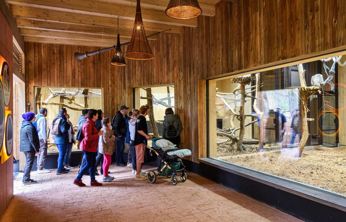 New Gibbon Exhibit "Gibonika" Opened