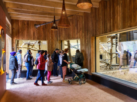 New Gibbon Exhibit "Gibonika" Opened