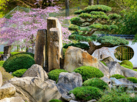 Den Japonska - zrušení akce