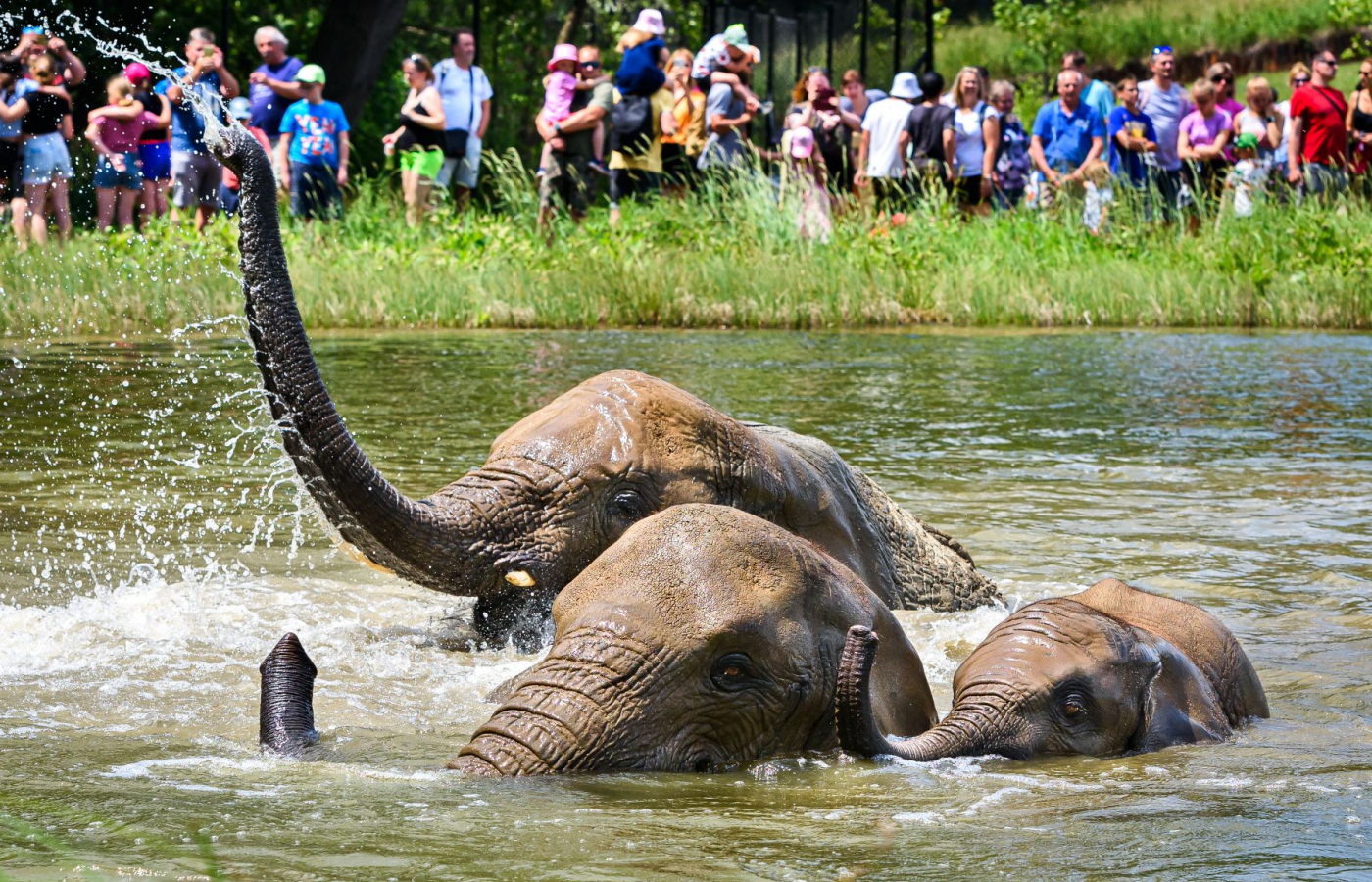 Zlín Zoo Among Top 10 Tourist Attractions in the Czech Republic for 18 Years