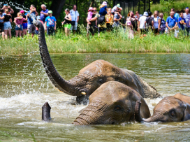 Zlín Zoo Among Top 10 Tourist Attractions in the Czech Republic for 18 Years