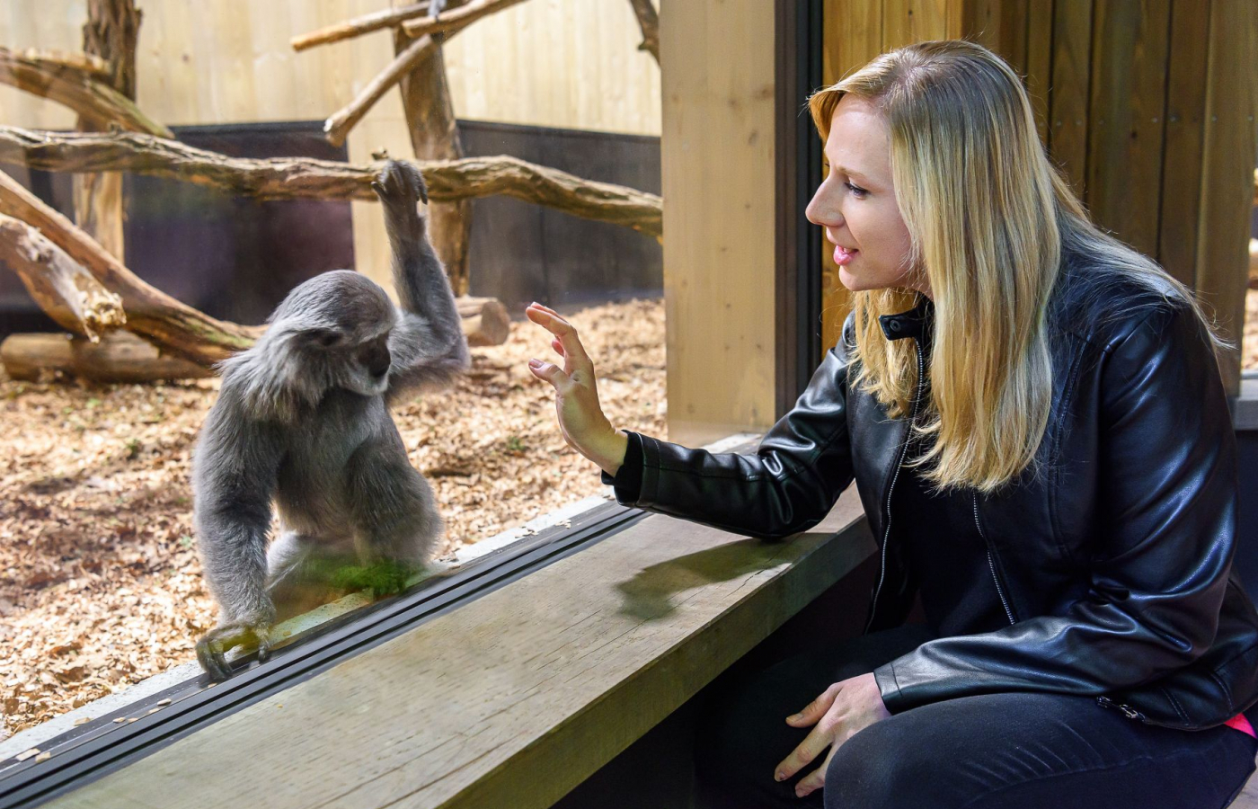 Zlín Zoo Among Top 10 Tourist Attractions in the Czech Republic for 18 Years