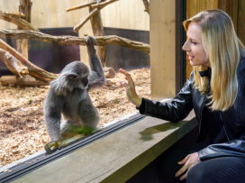 Zlín Zoo Among Top 10 Tourist Attractions in the Czech Republic for 18 Years