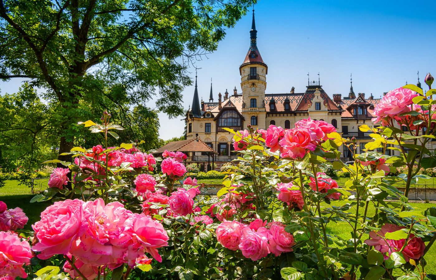 Zlín Zoo Among Top 10 Tourist Attractions in the Czech Republic for 18 Years