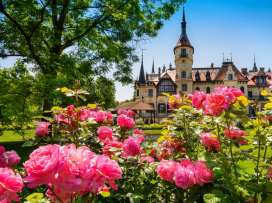 Zlín Zoo Among Top 10 Tourist Attractions in the Czech Republic for 18 Years