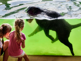 Zlín Zoo Among Top 10 Tourist Attractions in the Czech Republic for 18 Years