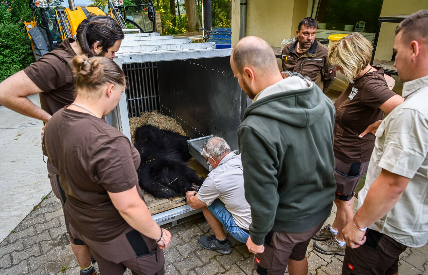 Sloth Bear from Zlín Zoo Transferred to Scotland