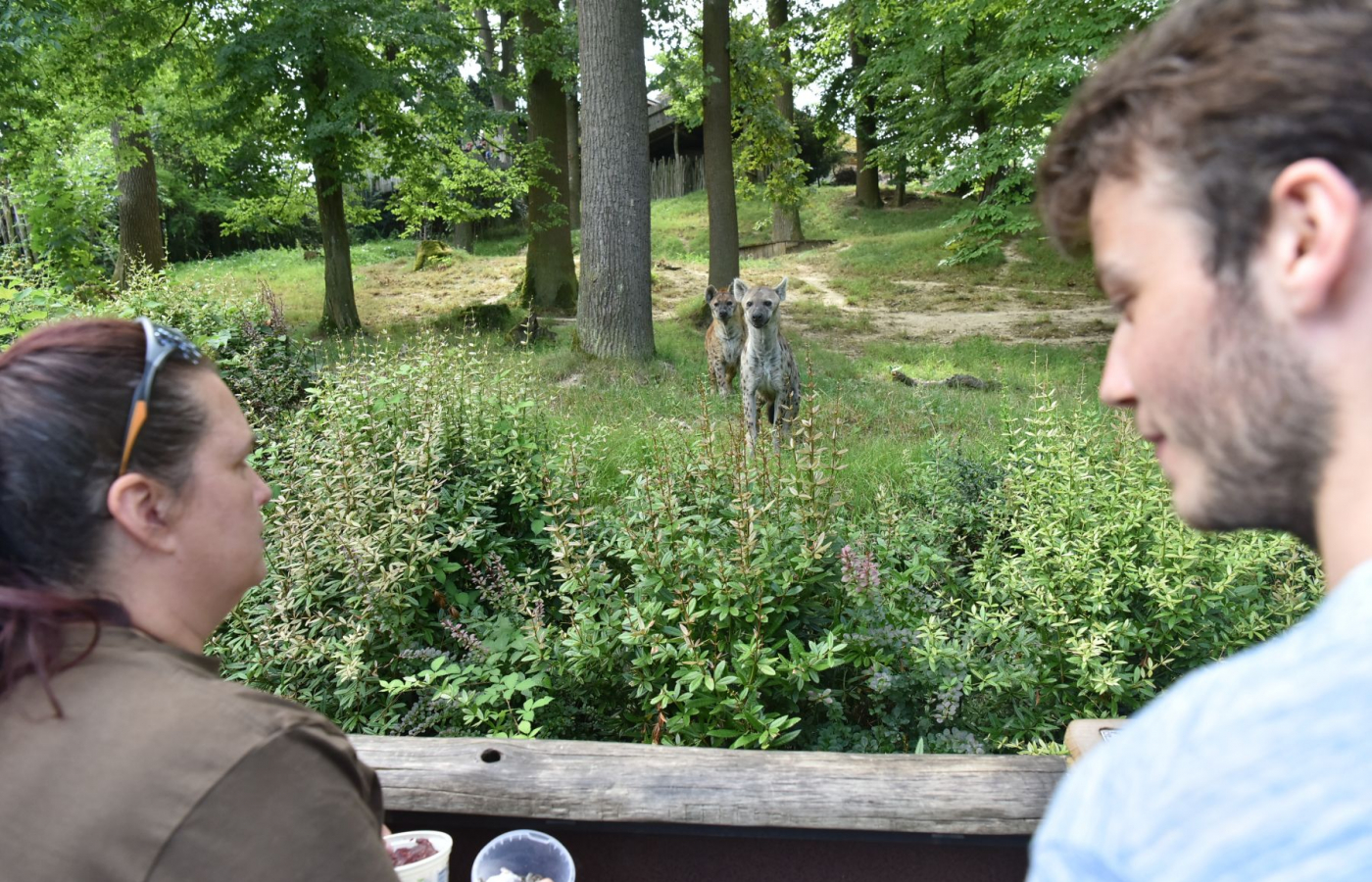 Zažijte Zoo Zlín neopakovatelným způsobem