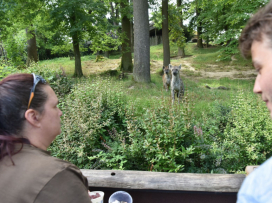Zažijte Zoo Zlín neopakovatelným způsobem