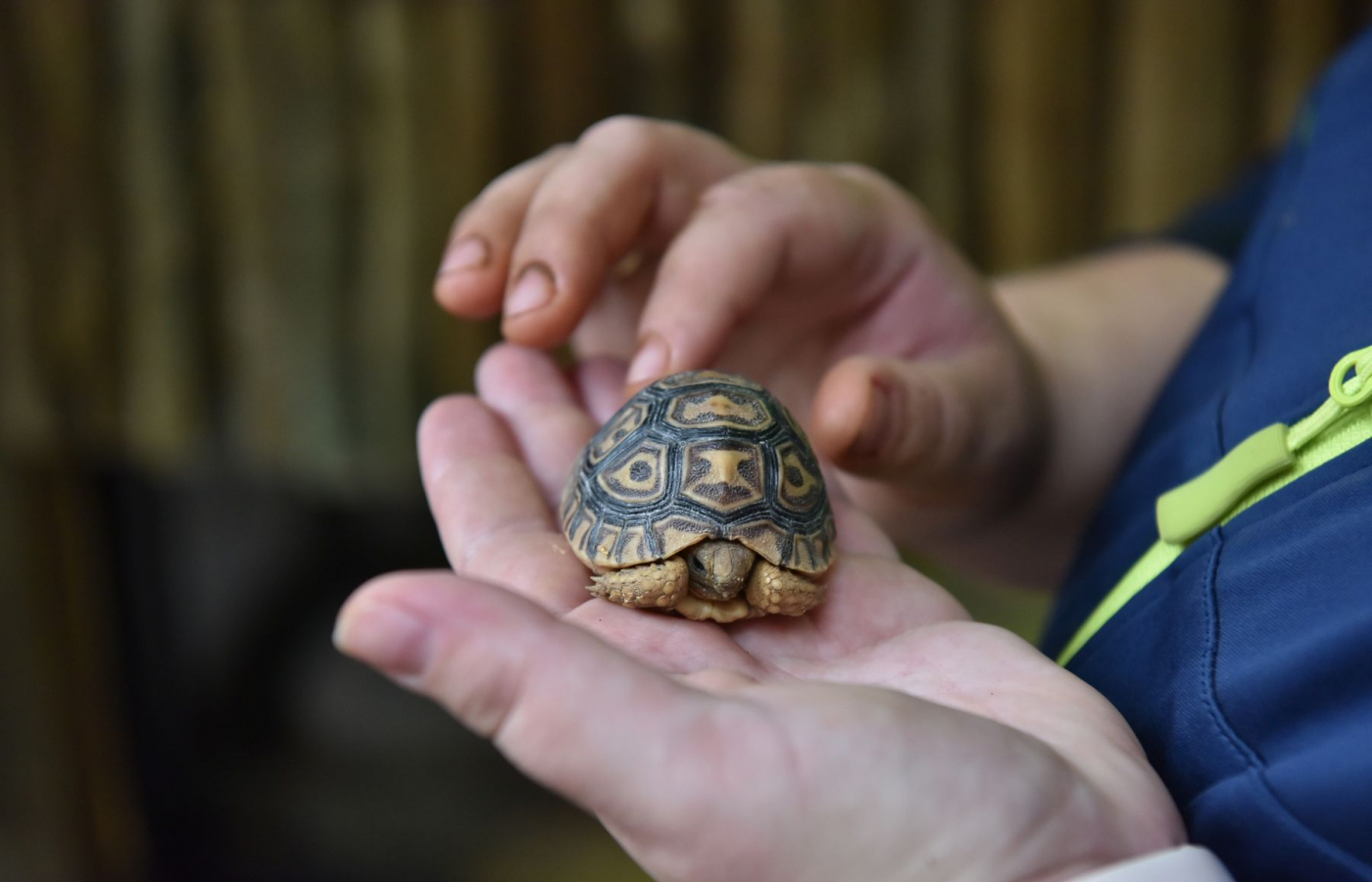 Zažijte Zoo Zlín neopakovatelným způsobem