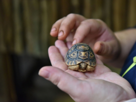 Zažijte Zoo Zlín neopakovatelným způsobem