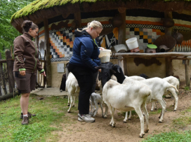 Zažijte Zoo Zlín neopakovatelným způsobem