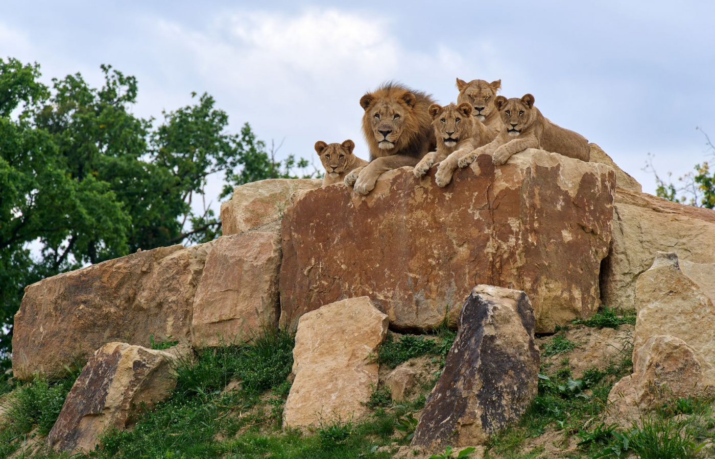 Každý pátek v září a říjnu do Zoo Zlín jen za 100 Kč