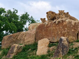 Každý pátek v září a říjnu do Zoo Zlín jen za 100 Kč