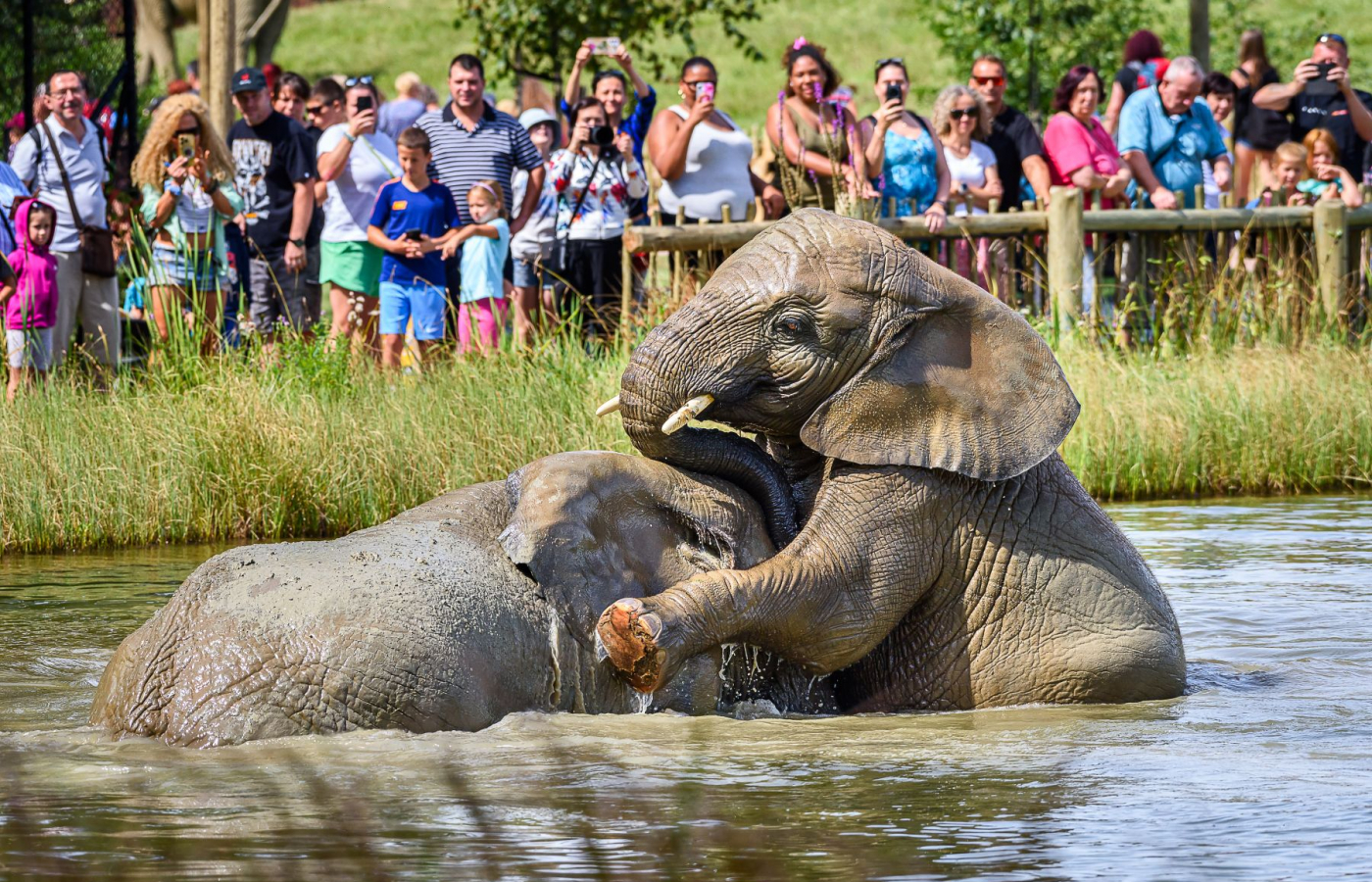 Každý pátek v září a říjnu do Zoo Zlín jen za 100 Kč