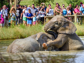 Každý pátek v září a říjnu do Zoo Zlín jen za 100 Kč