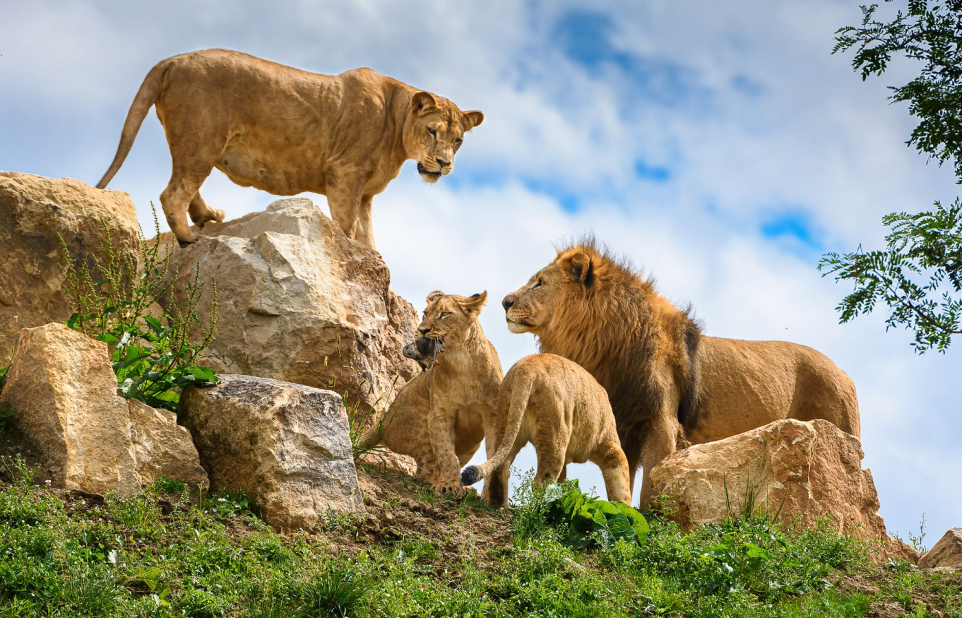 Portál arecenze.cz vyhlásil Zoo Zlín jako nejlepší zoo v ČR