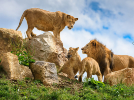 Portál arecenze.cz vyhlásil Zoo Zlín jako nejlepší zoo v ČR
