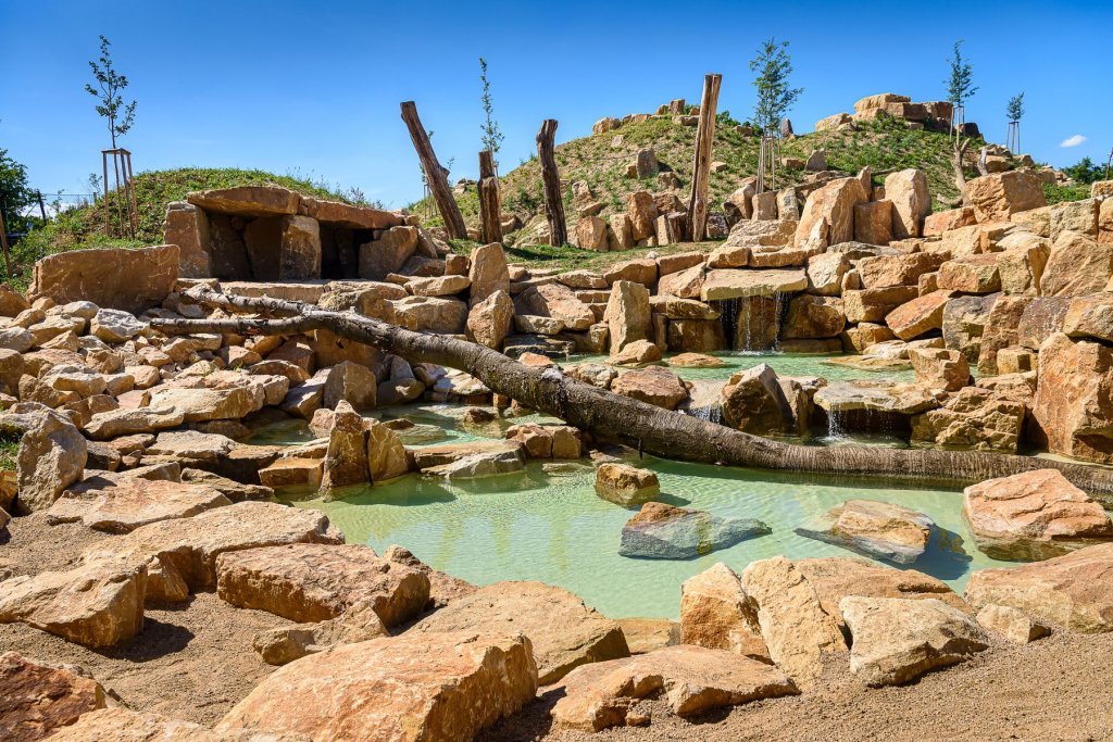The New rescue and breeding center for lions