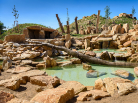 The New rescue and breeding center for lions
