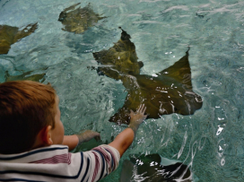 Do Zoo zlín zavítalo již 700 000 návštěvníků!