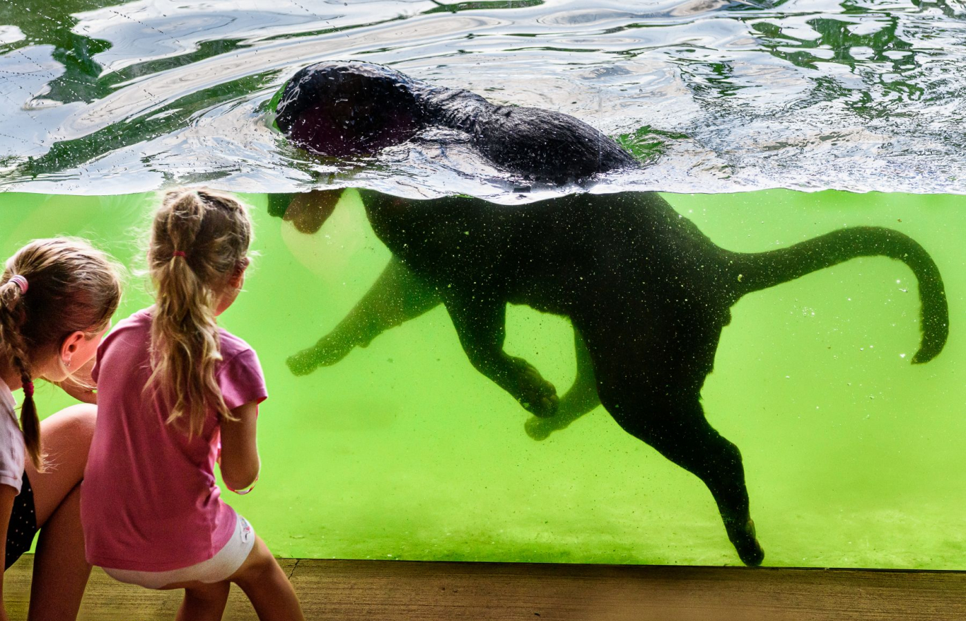 Do Zoo zlín zavítalo již 700 000 návštěvníků!