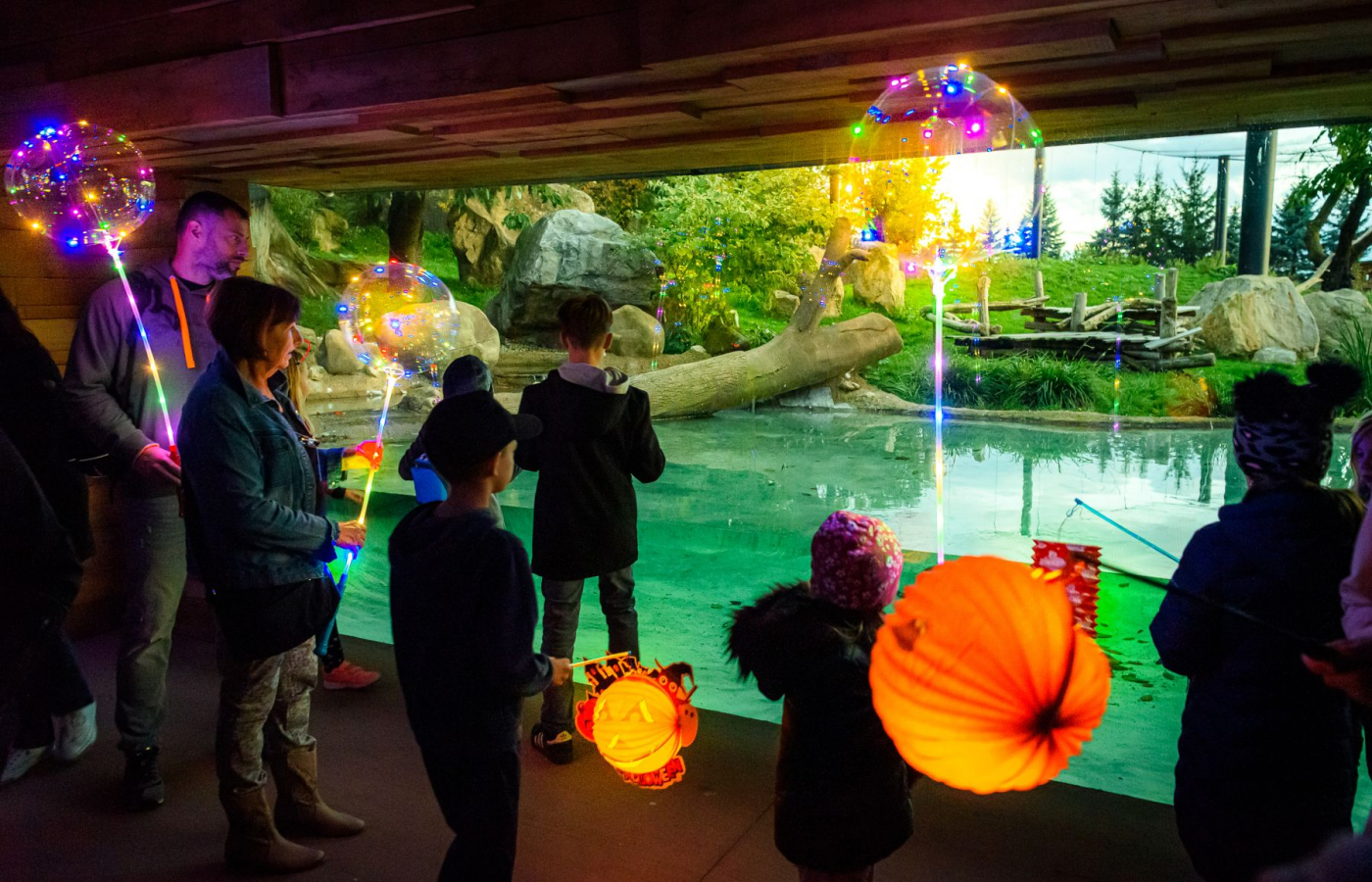 Poslední letošní večerní prohlídky zoo a zámku Lešná