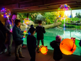 Poslední letošní večerní prohlídky zoo a zámku Lešná