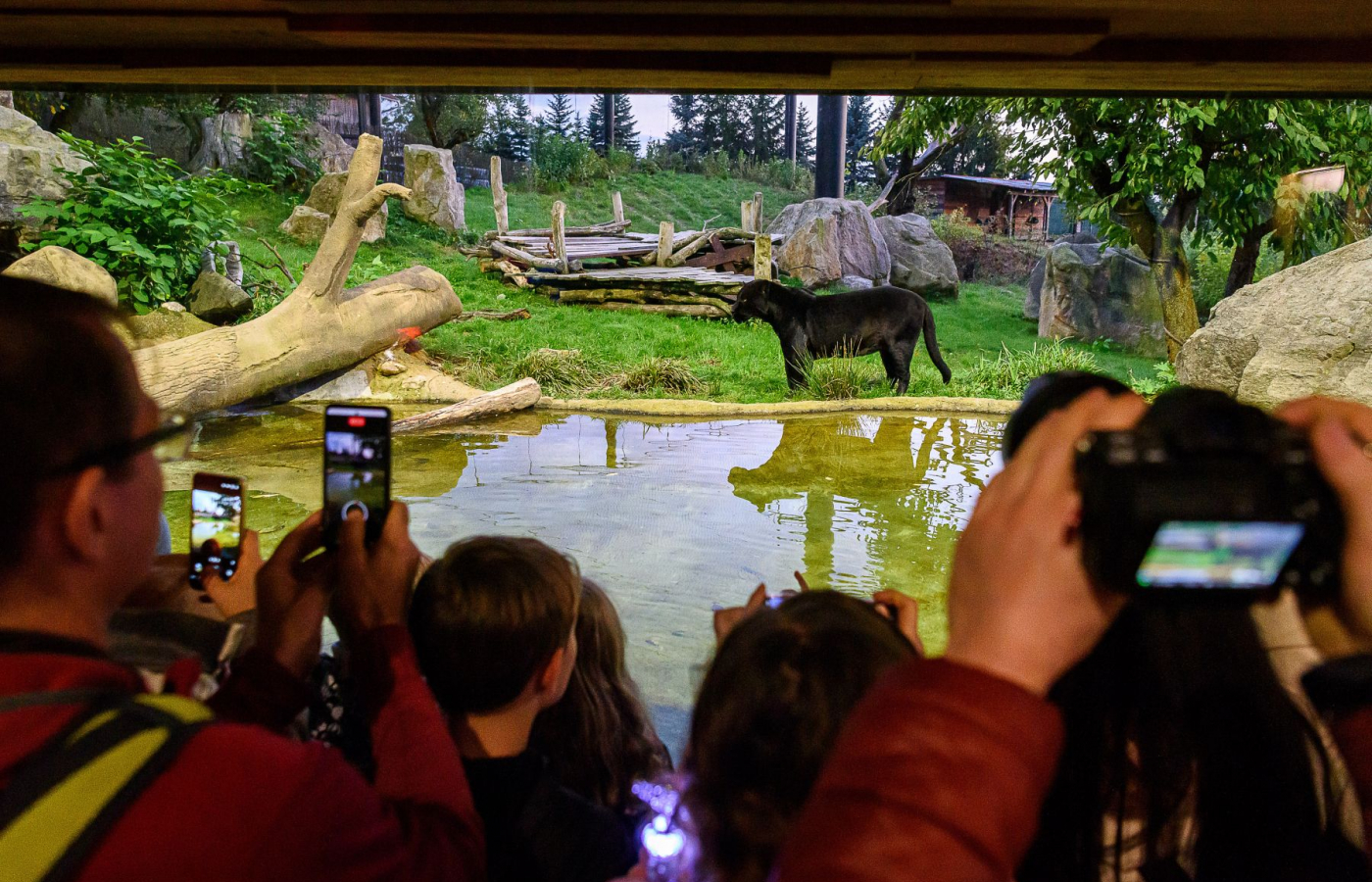 Poslední letošní večerní prohlídky zoo a zámku Lešná