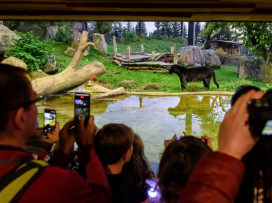 Poslední letošní večerní prohlídky zoo a zámku Lešná