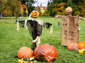 Halloween - sobota 25.10.