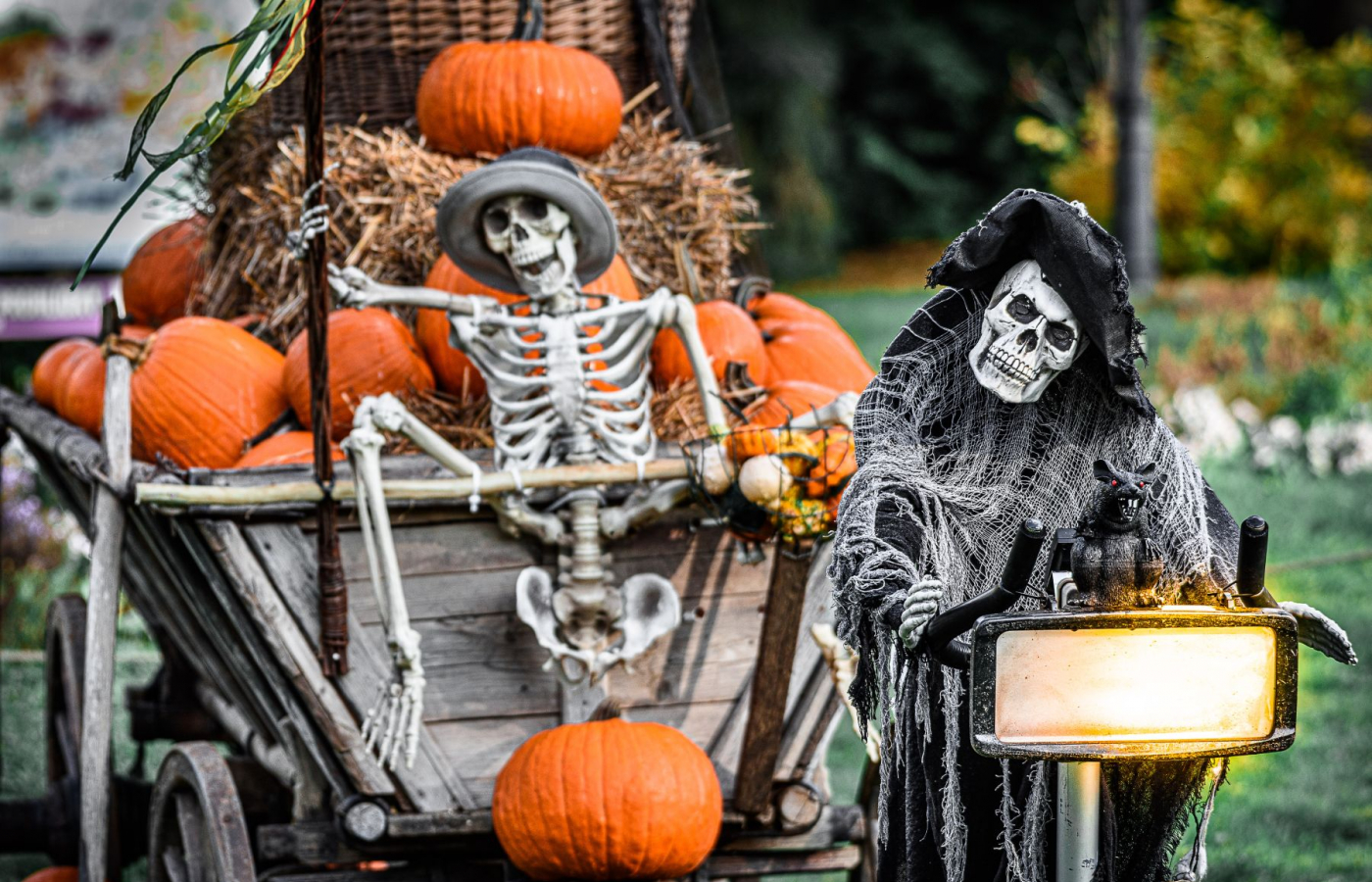 Halloween - program neděle 26.10.