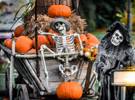 Halloween - program neděle 26.10.