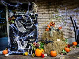 Halloween - program na úterý 28. října