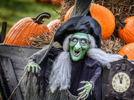 Halloween - program na úterý 28. října