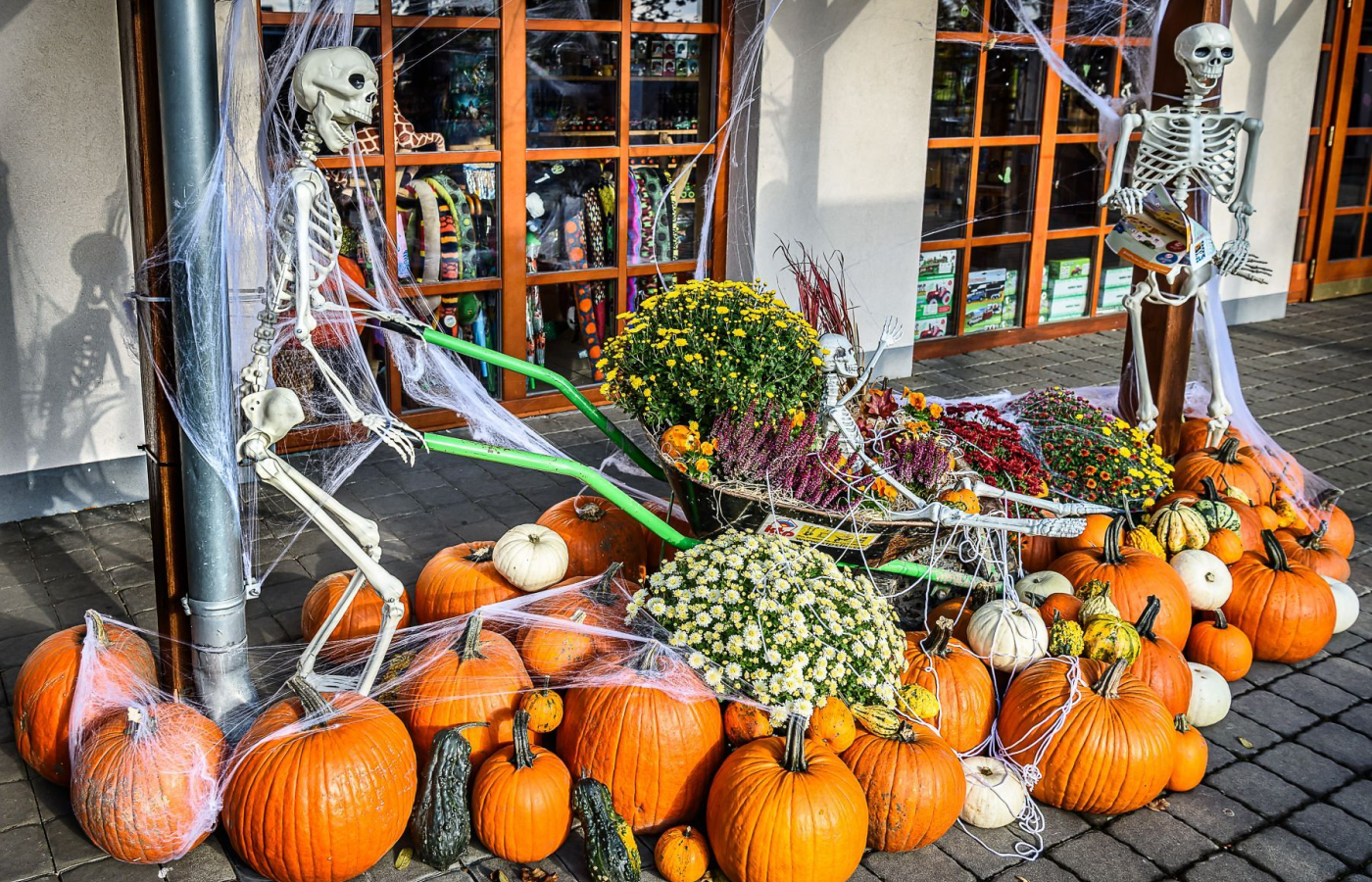 Halloween - program na úterý 28. října