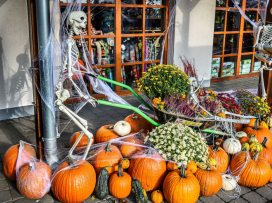 Halloween - program na úterý 28. října