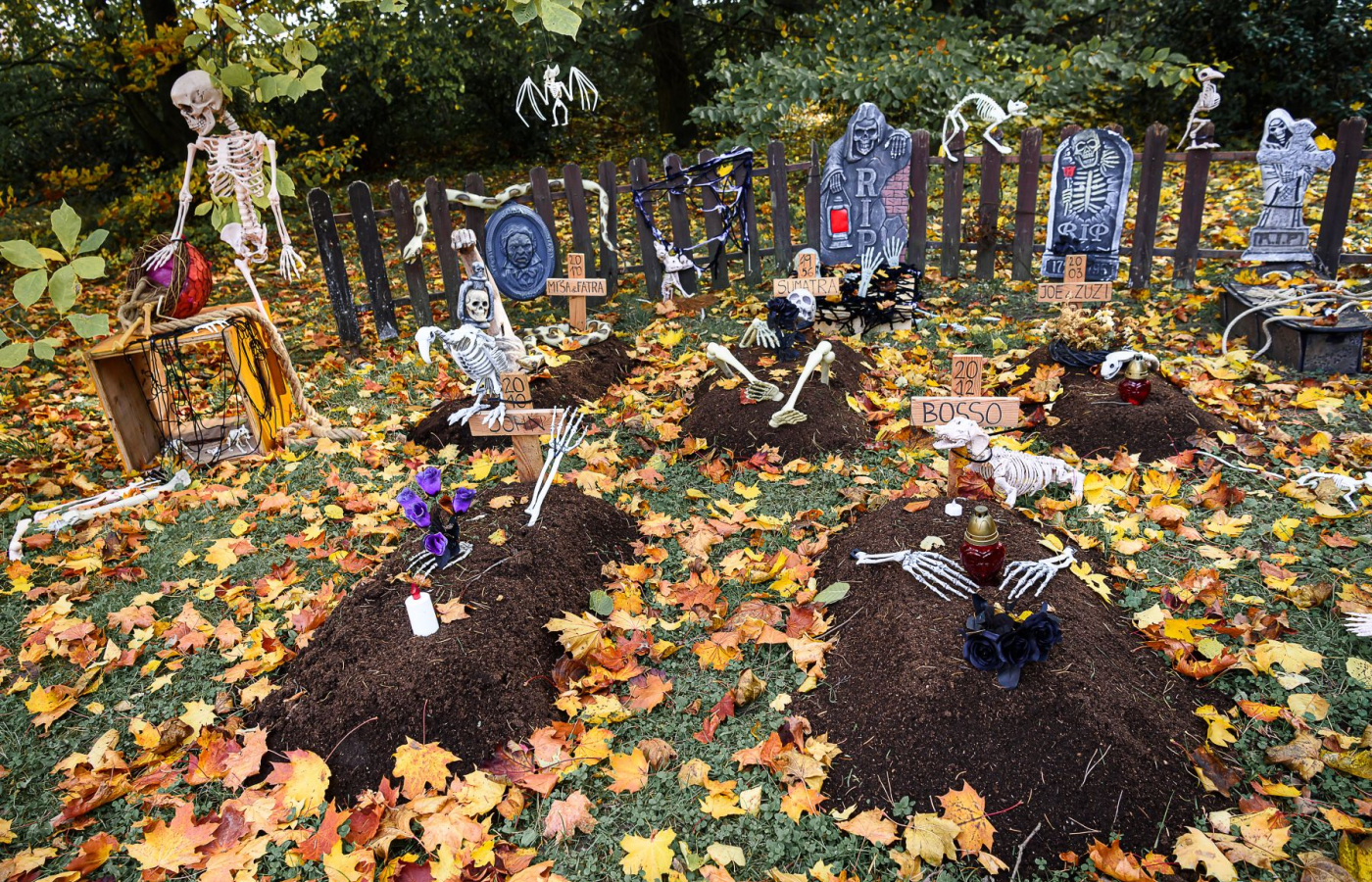 Halloween v Zoo Zlín až do 2.11.