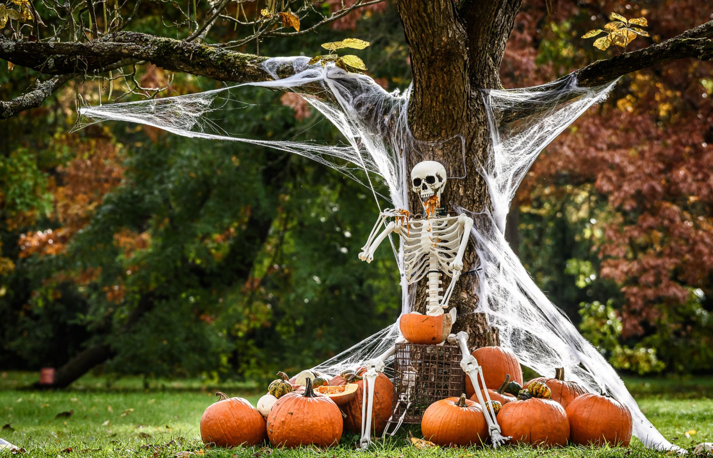 Halloween v Zoo Zlín až do 2.11.